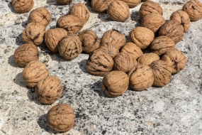 营养带壳坚果核桃图片